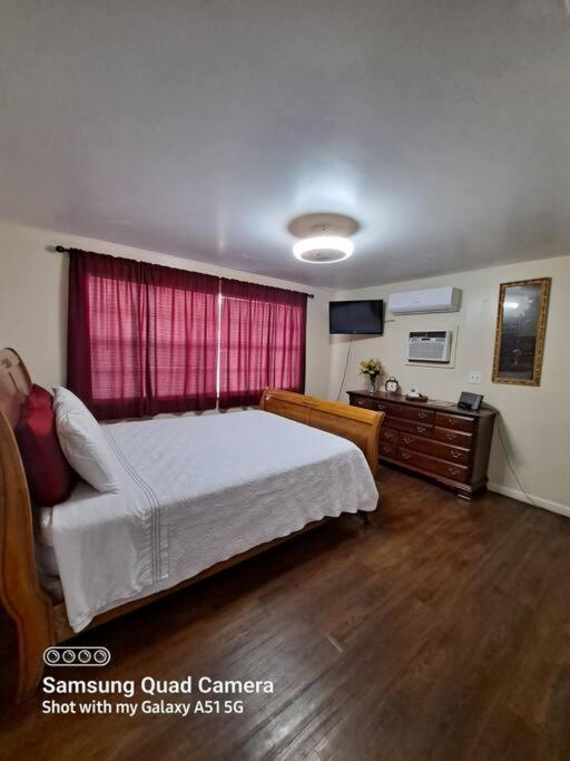 Green House Тампа Екстер'єр фото